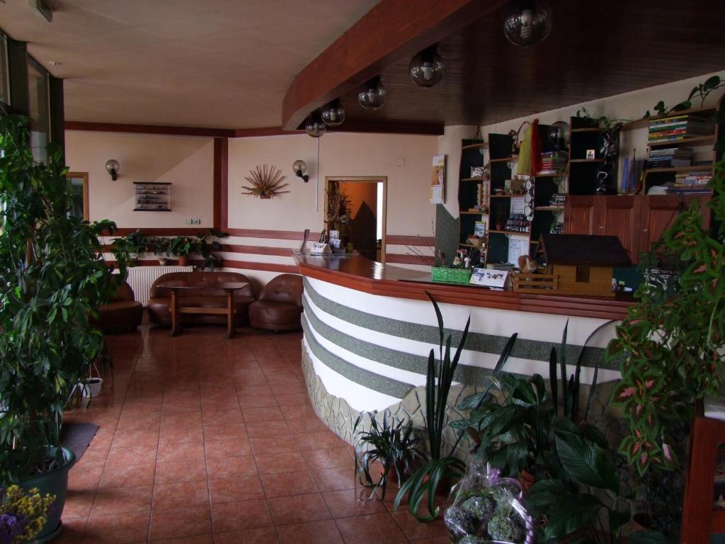 Hotel Silva Vatra Dornei Bagian luar foto